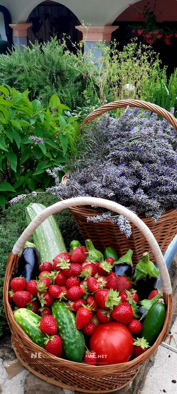 Дом в Изоле, Словения, 234 м² - фото 4