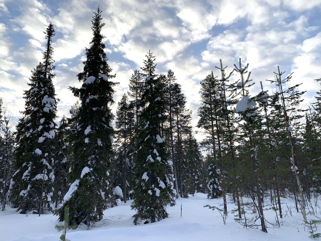 Вилла в Рука, Финляндия, 150 м² - фото 11