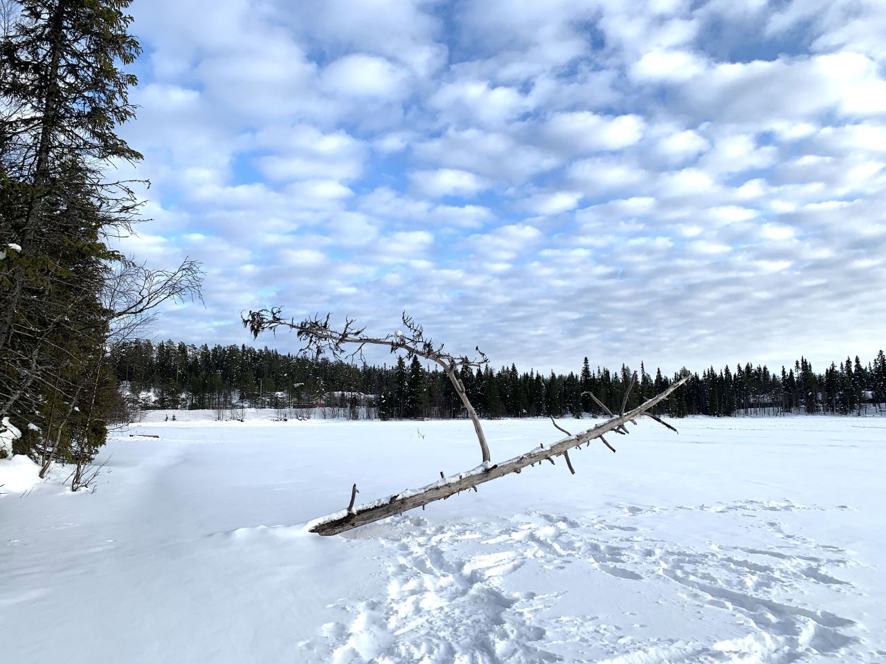 Вилла в Рука, Финляндия, 150 м² - фото 13