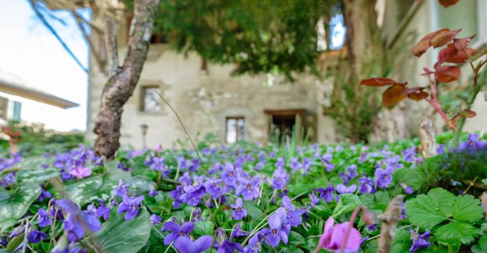 Квартира в Женеве, Швейцария, 170 м² - фото 1