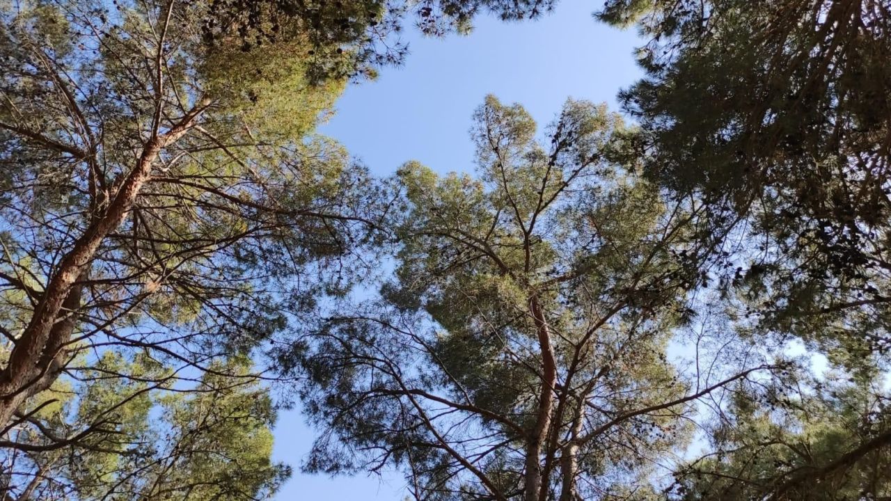 Вилла в Порече, Хорватия, 500 м² - фото 5