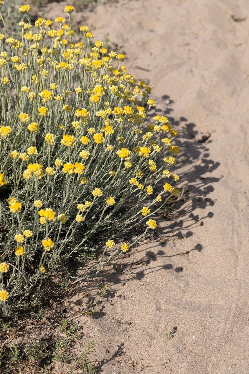 Квартира в Барселоне, Испания, 127 м² - фото 18