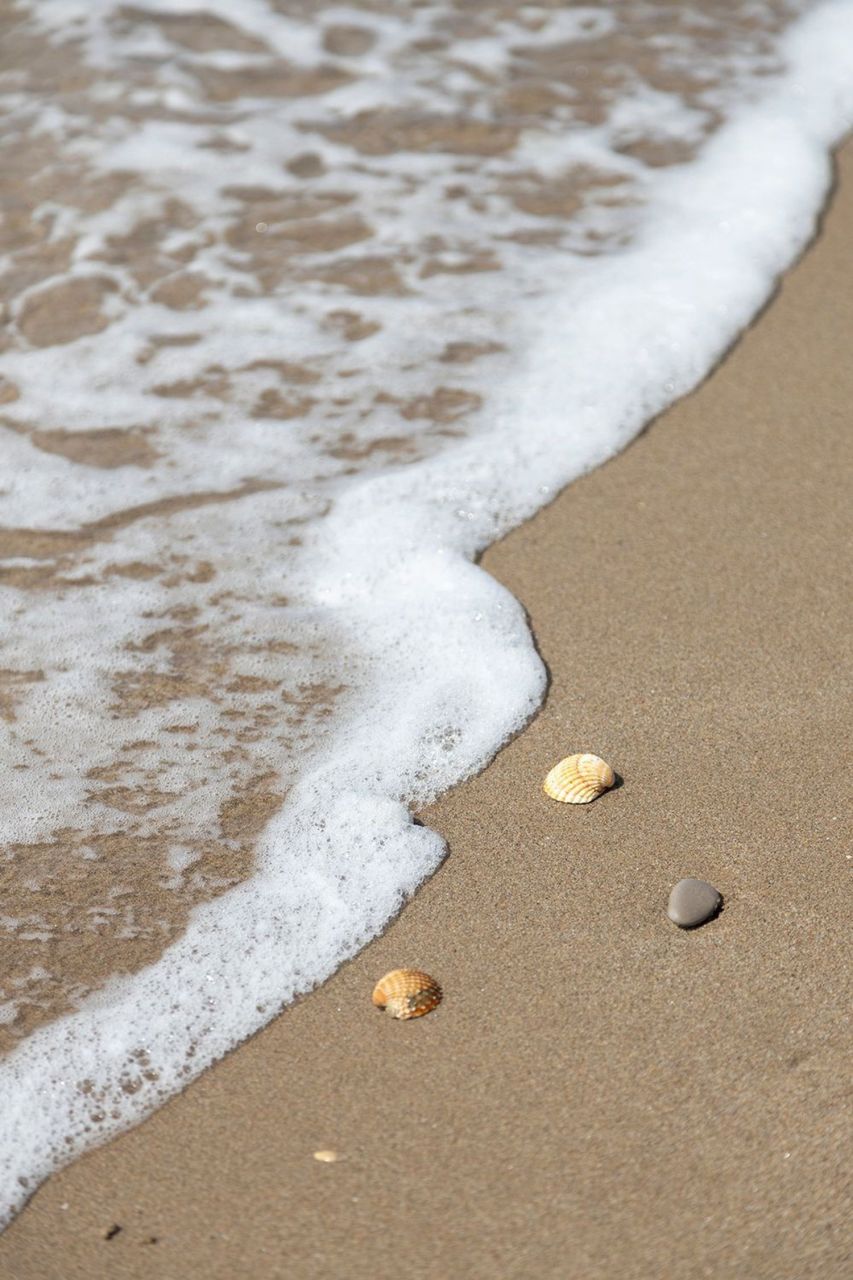 Квартира в Барселоне, Испания, 122 м² - фото 19