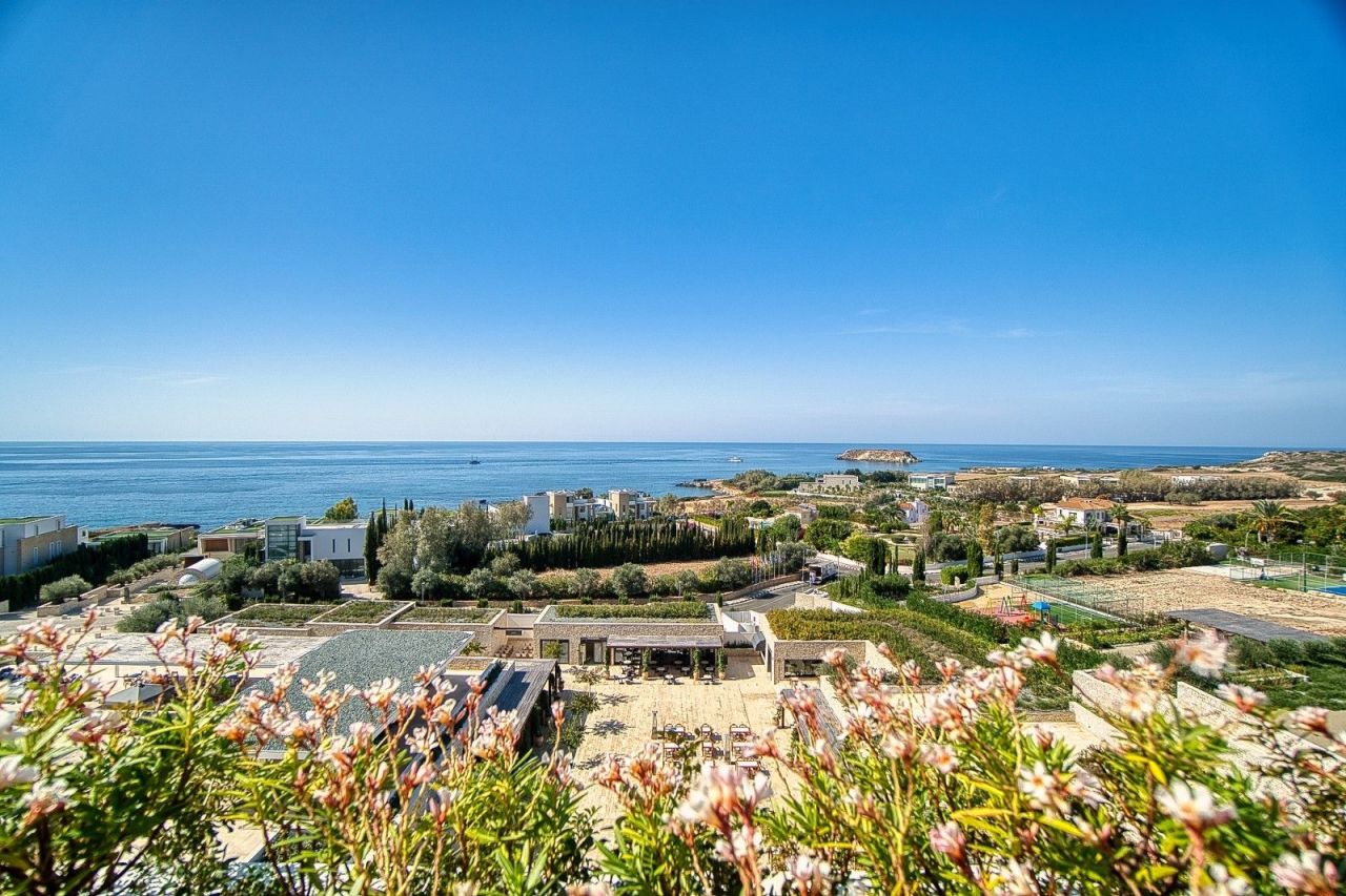 Вилла в Пафосе, Кипр - фото 17