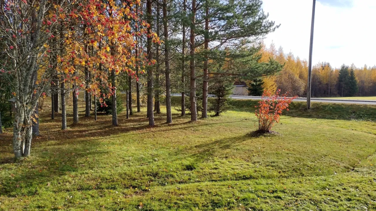 Таунхаус в Йоэнсуу, Финляндия, 71 м² - фото 18