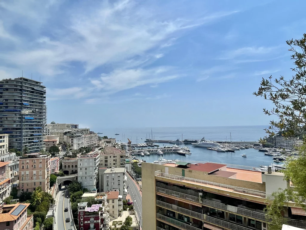 Квартира в Монегетти, Монако, 340 м² - фото 1