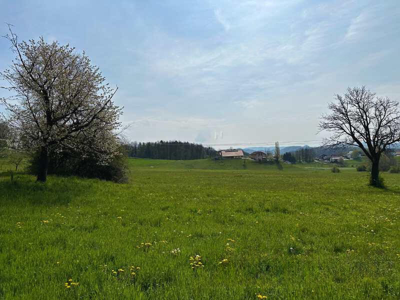 Квартира Церовец под Бочем, Словения - фото 4