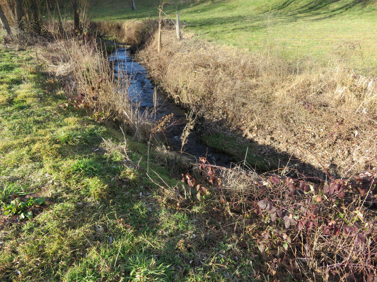 Квартира Споднее Сечово, Словения - фото 8