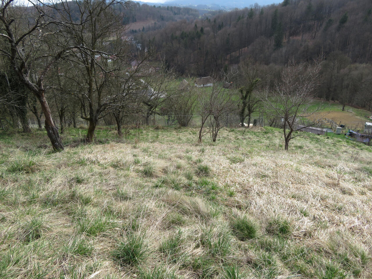 Квартира в Рогашка-Слатине, Словения - фото 9