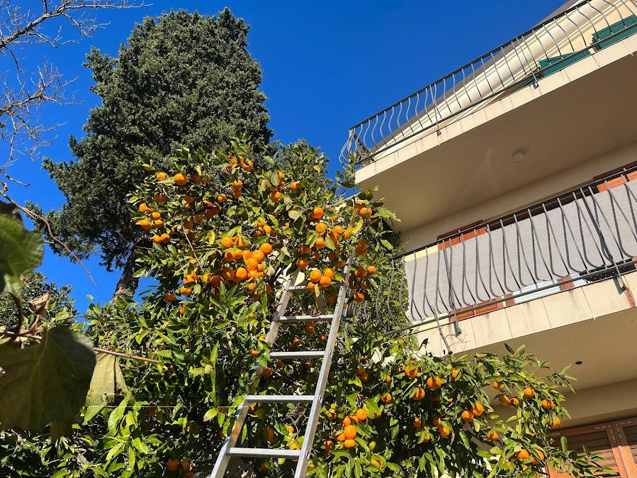 Дом в Портороже, Словения, 499 м² - фото 13