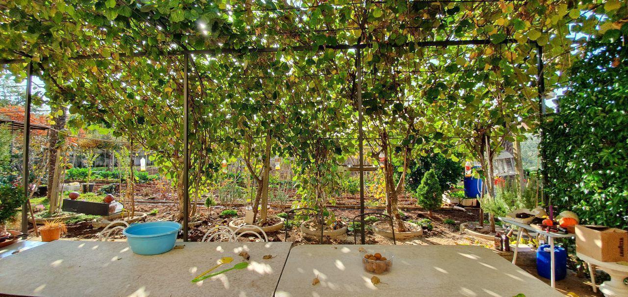 Отель, гостиница в Порече, Хорватия, 420 м² - фото 10