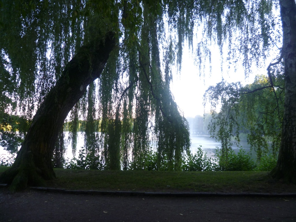 Пентхаус в Цвиккау, Германия, 24 м² - фото 18