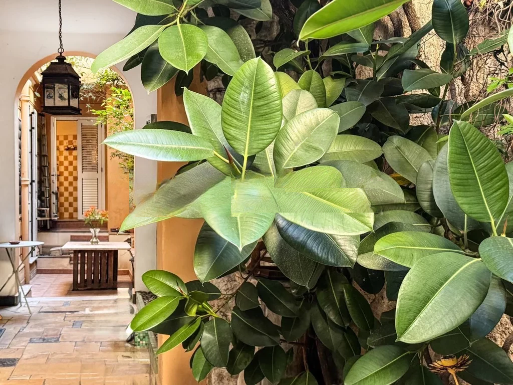 Квартира в Монако, Монако, 470 м² - фото 2