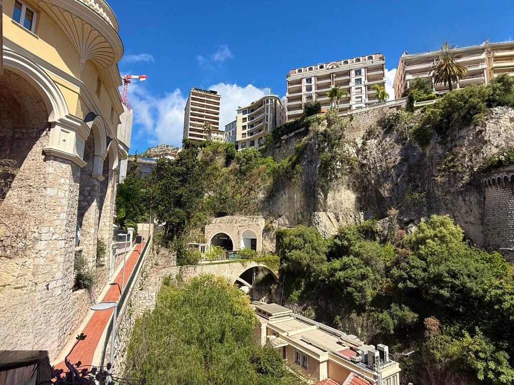 Квартира в Ла-Кондамине, Монако, 109 м² - фото 17