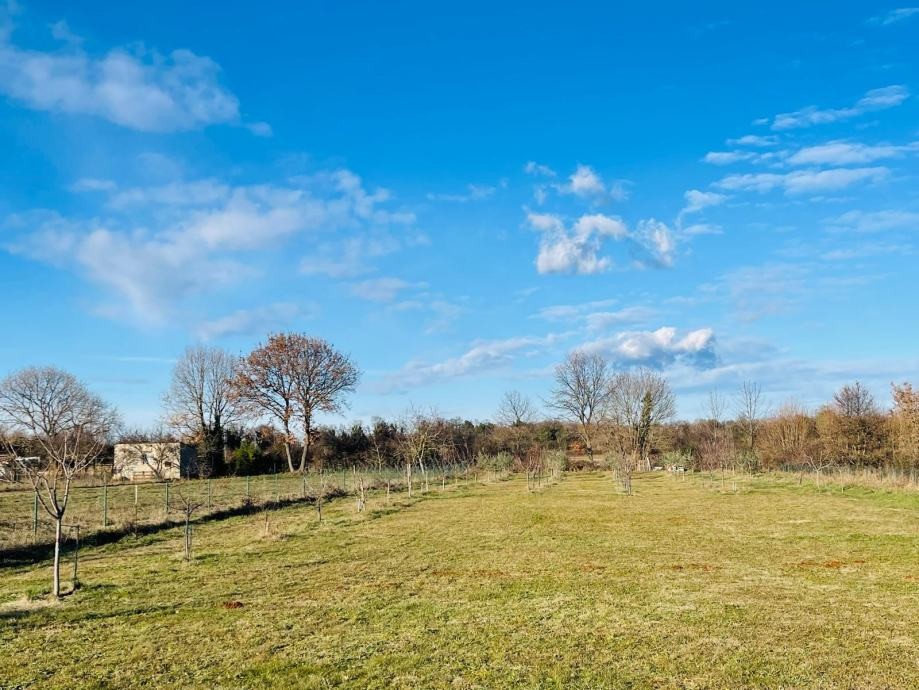 Дом в Марчане, Хорватия, 160 м² - фото 16