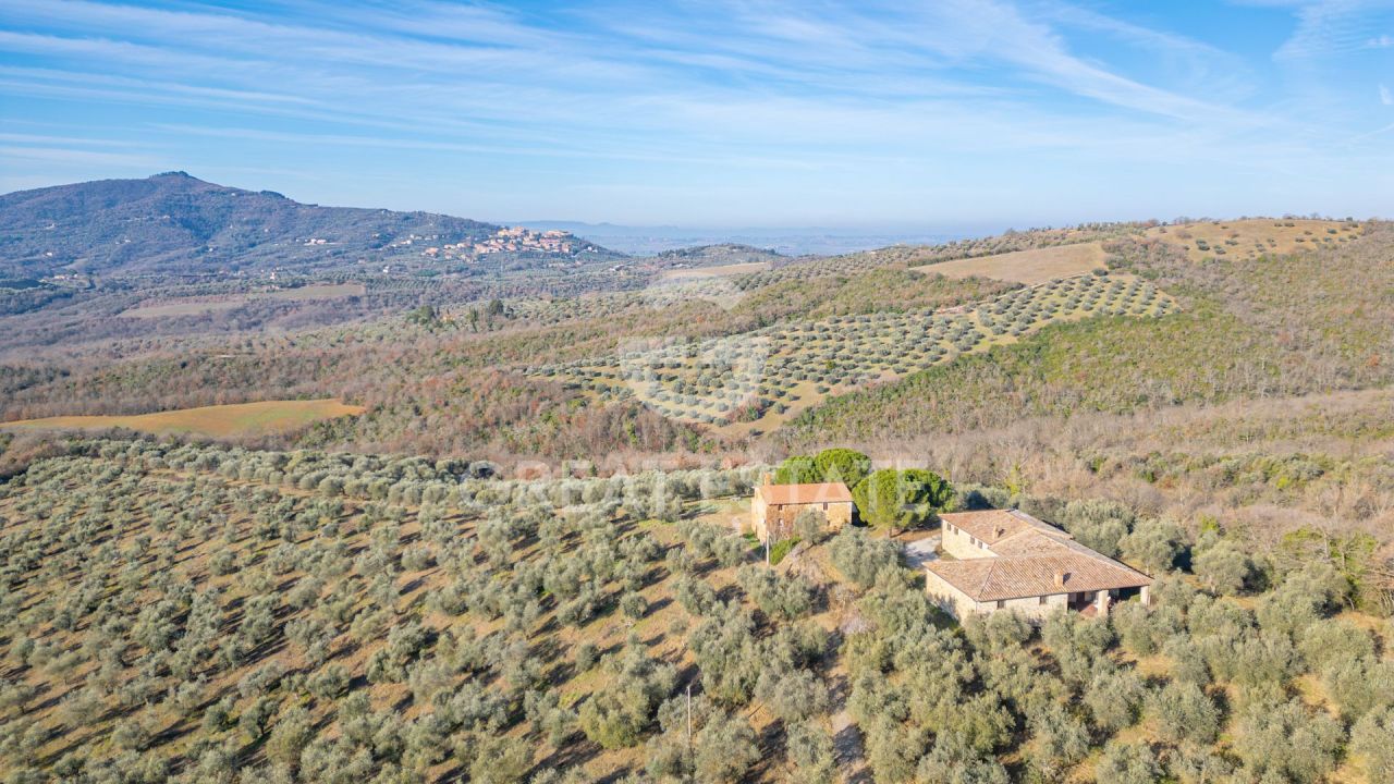 Дом в Паникале, Италия, 581.45 м² - фото 3