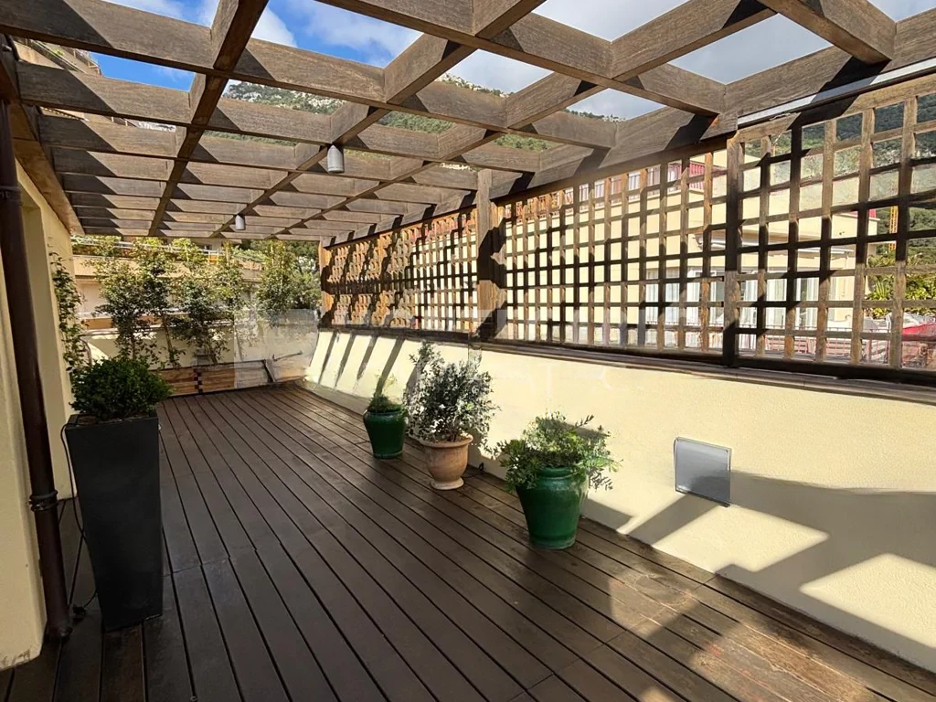 Квартира в Монегетти, Монако, 250 м² - фото 13