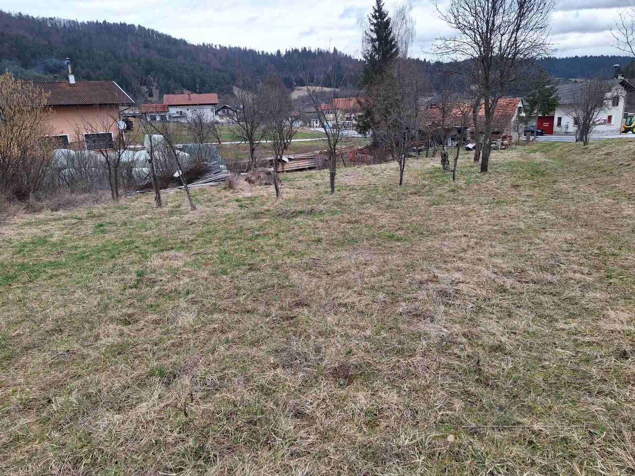 Дом в Рибнице, Словения, 120 м² - фото 3