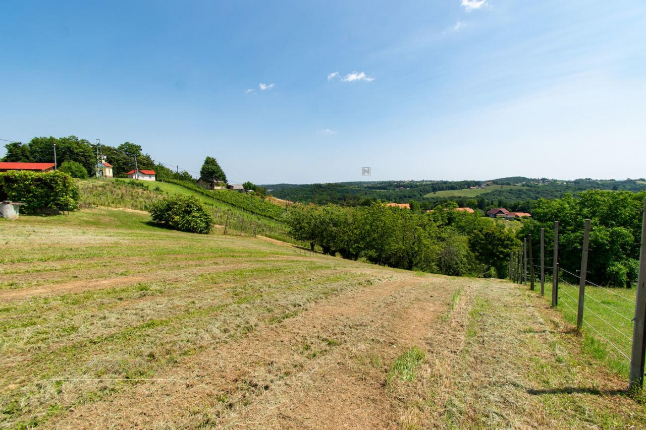 Дом в Птуе, Словения, 58 м² - фото 8
