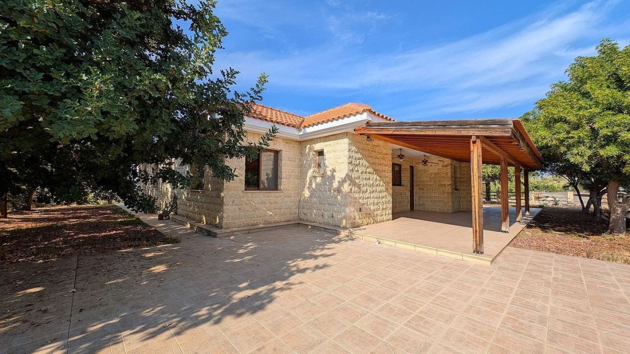 Коммерческая недвижимость в Пафосе, Кипр, 250 м² - фото 18