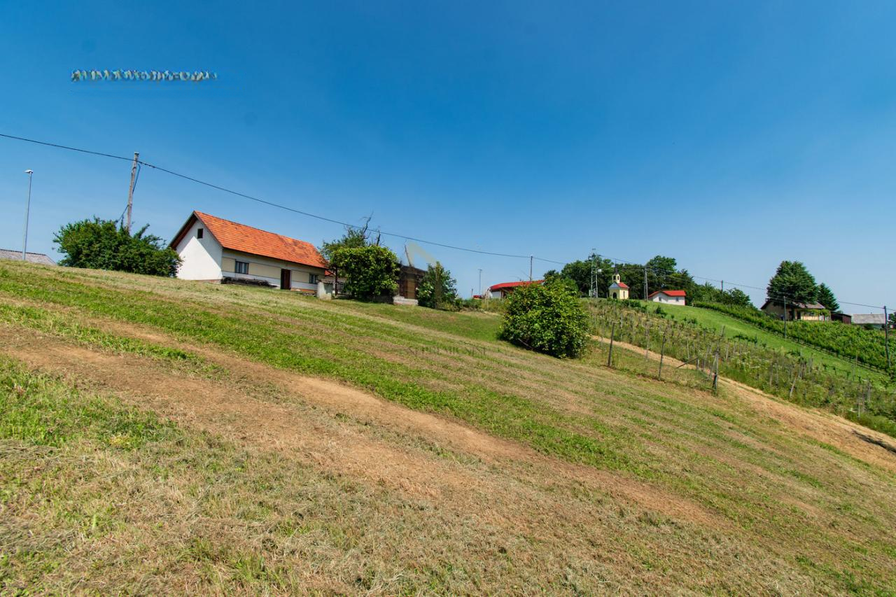 Дом в Птуе, Словения, 58 м² - фото 9