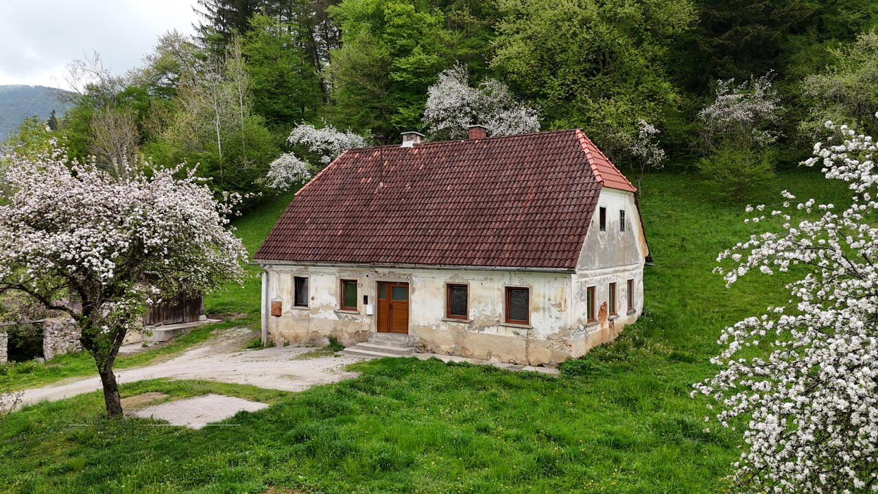 Ферма в Целе, Словения, 9 444 м² - фото 1
