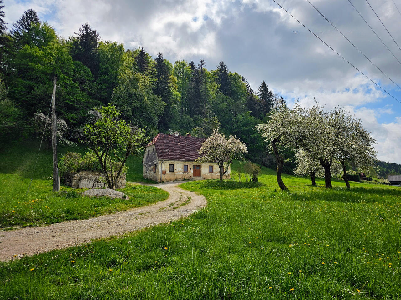 Ферма в Целе, Словения, 9 444 м² - фото 3