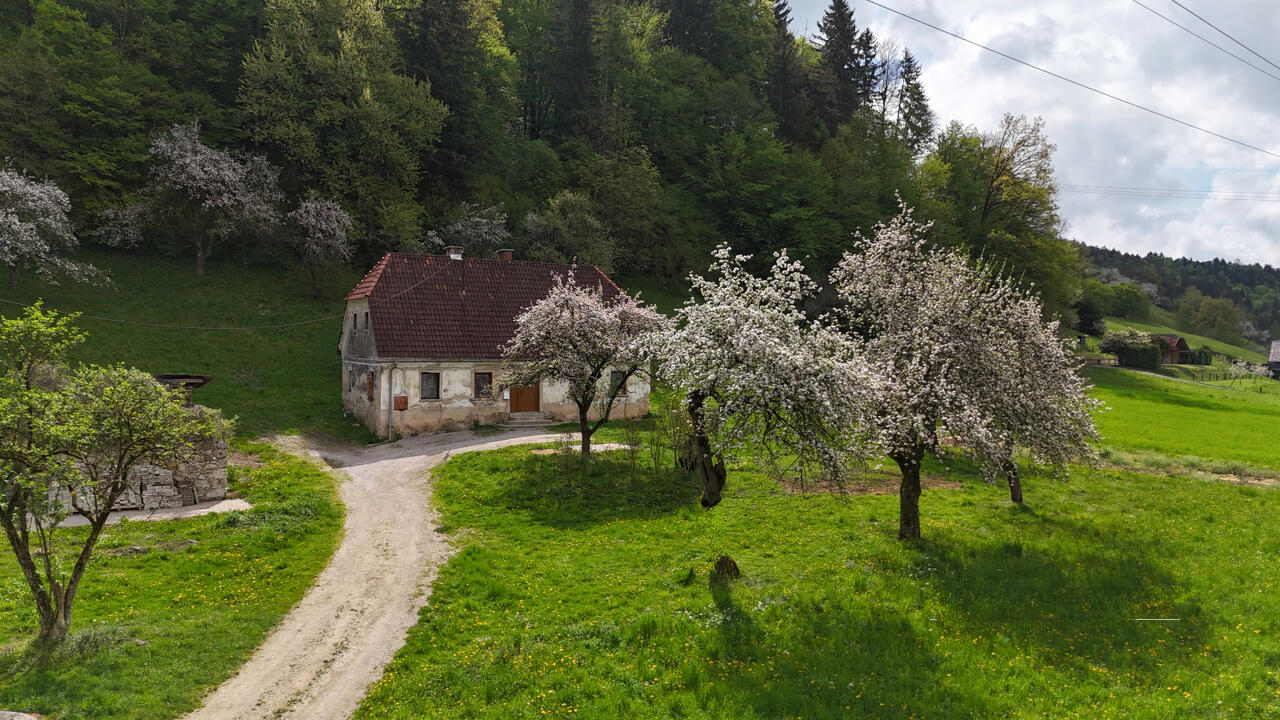 Ферма в Целе, Словения, 9 444 м² - фото 4