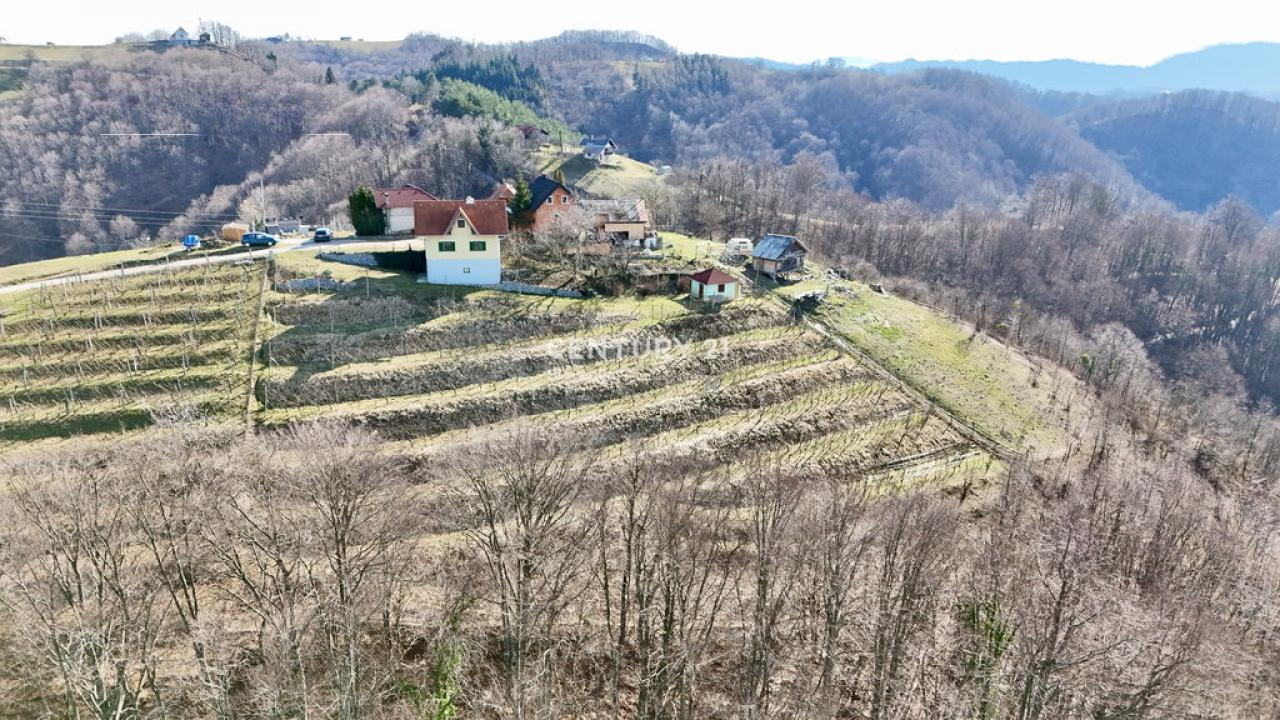 Дом в Птуе, Словения, 98 м² - фото 7