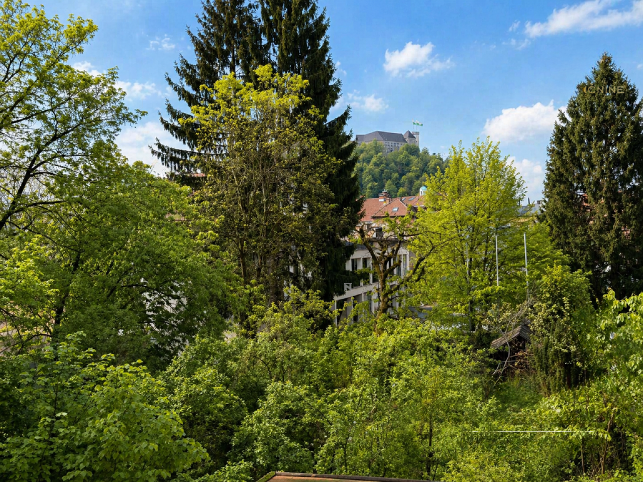 Дом в Любляне, Словения, 440 м² - фото 8