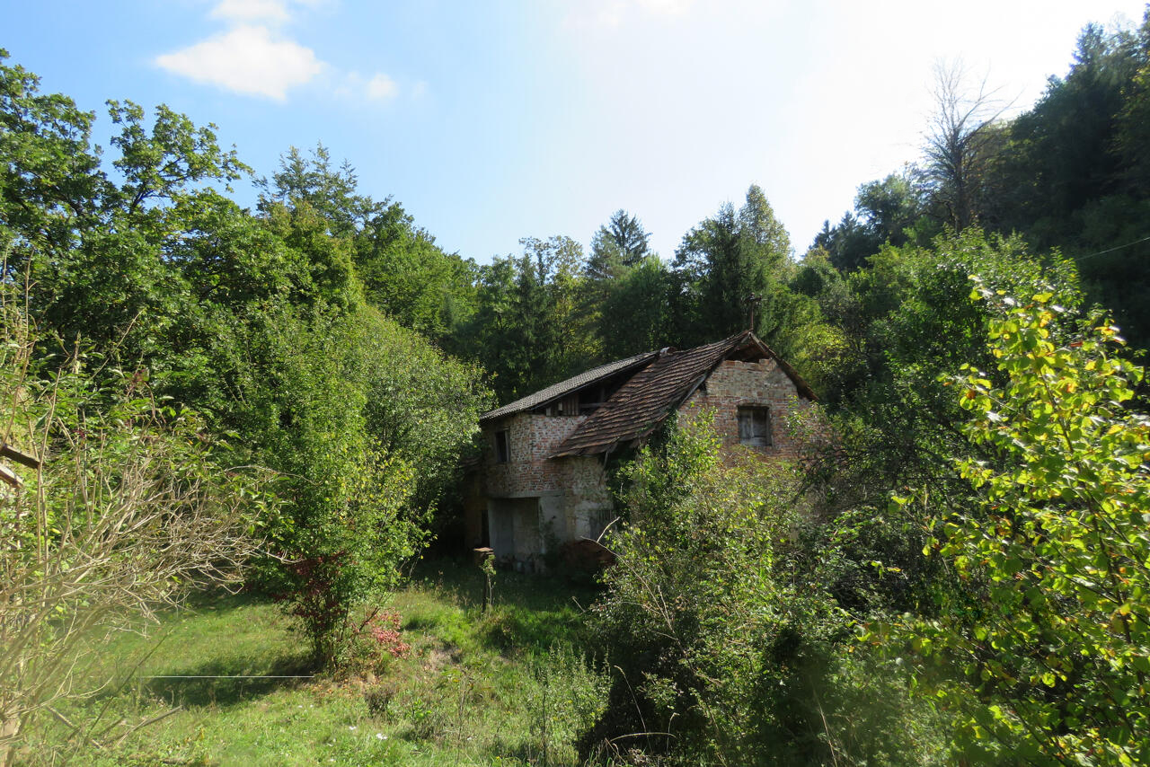 Ферма в Любляне, Словения, 11 020 м² - фото 14