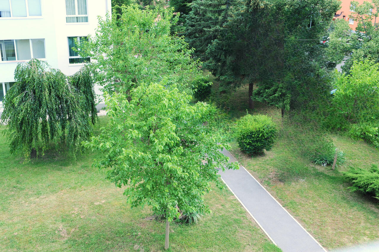 Квартира в Сежане, Словения, 48 м² - фото 4