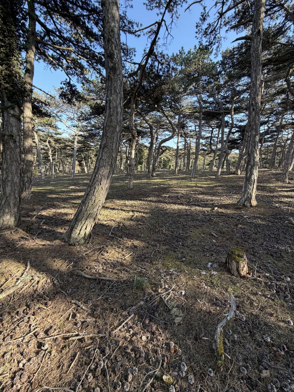 Земля в Средней Далмации, Хорватия, 423 500 м² - фото 2