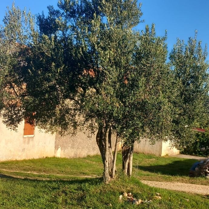 Дом в Ровини, Хорватия, 130 м² - фото 9