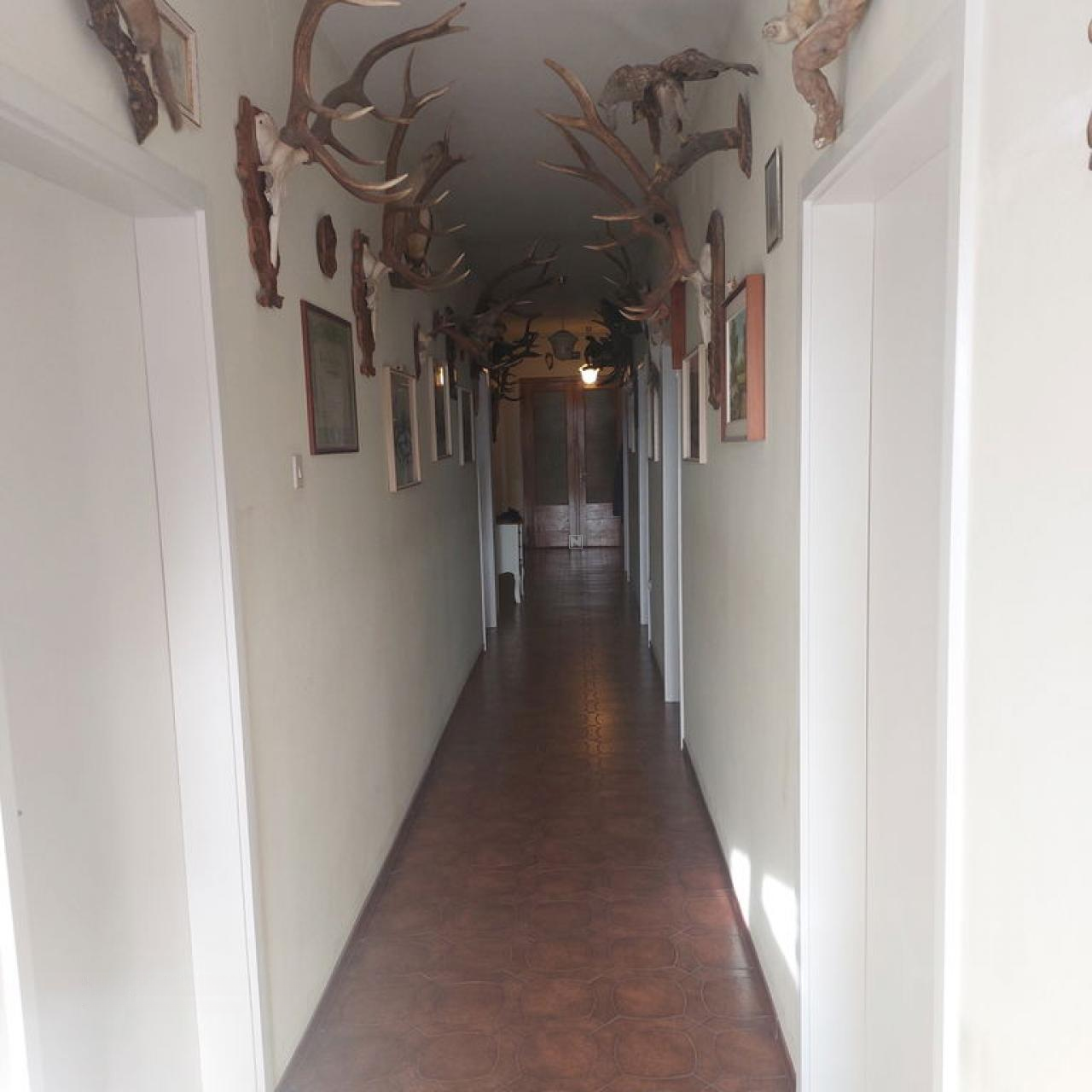 Дом в Диваче, Словения, 690 м² - фото 19