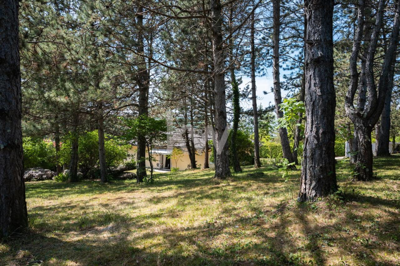 Дом в Сежане, Словения, 263 м² - фото 4