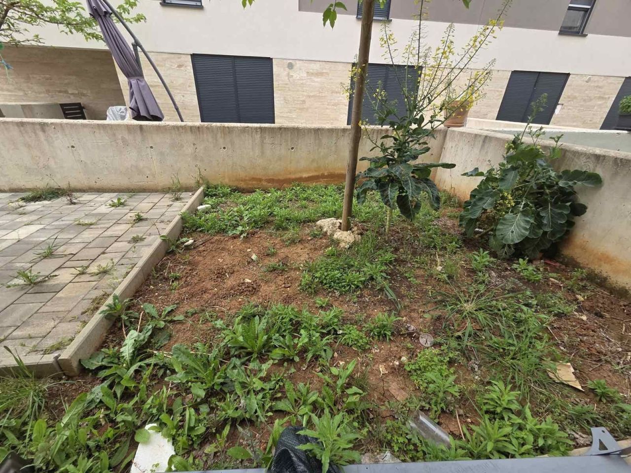 Квартира Istria, Stinjan, Хорватия, 56 м² - фото 17