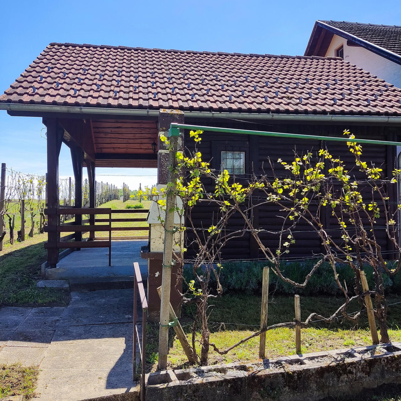 Ферма в Брежице, Словения, 607 м² - фото 3