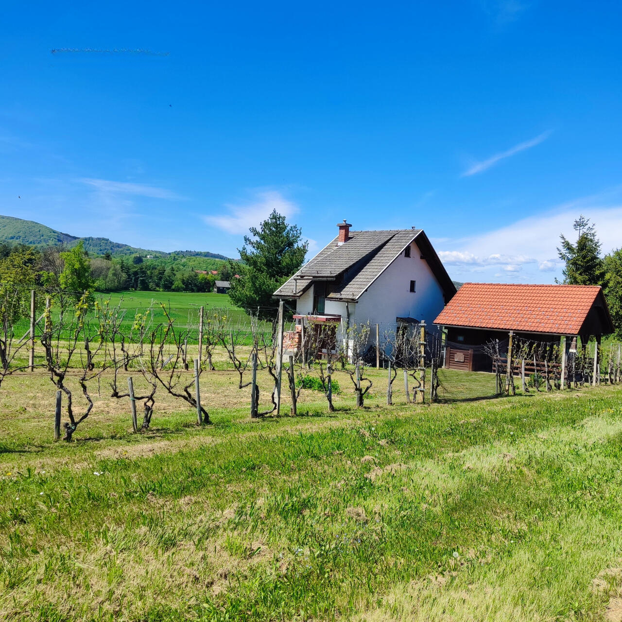 Ферма в Брежице, Словения, 607 м² - фото 8