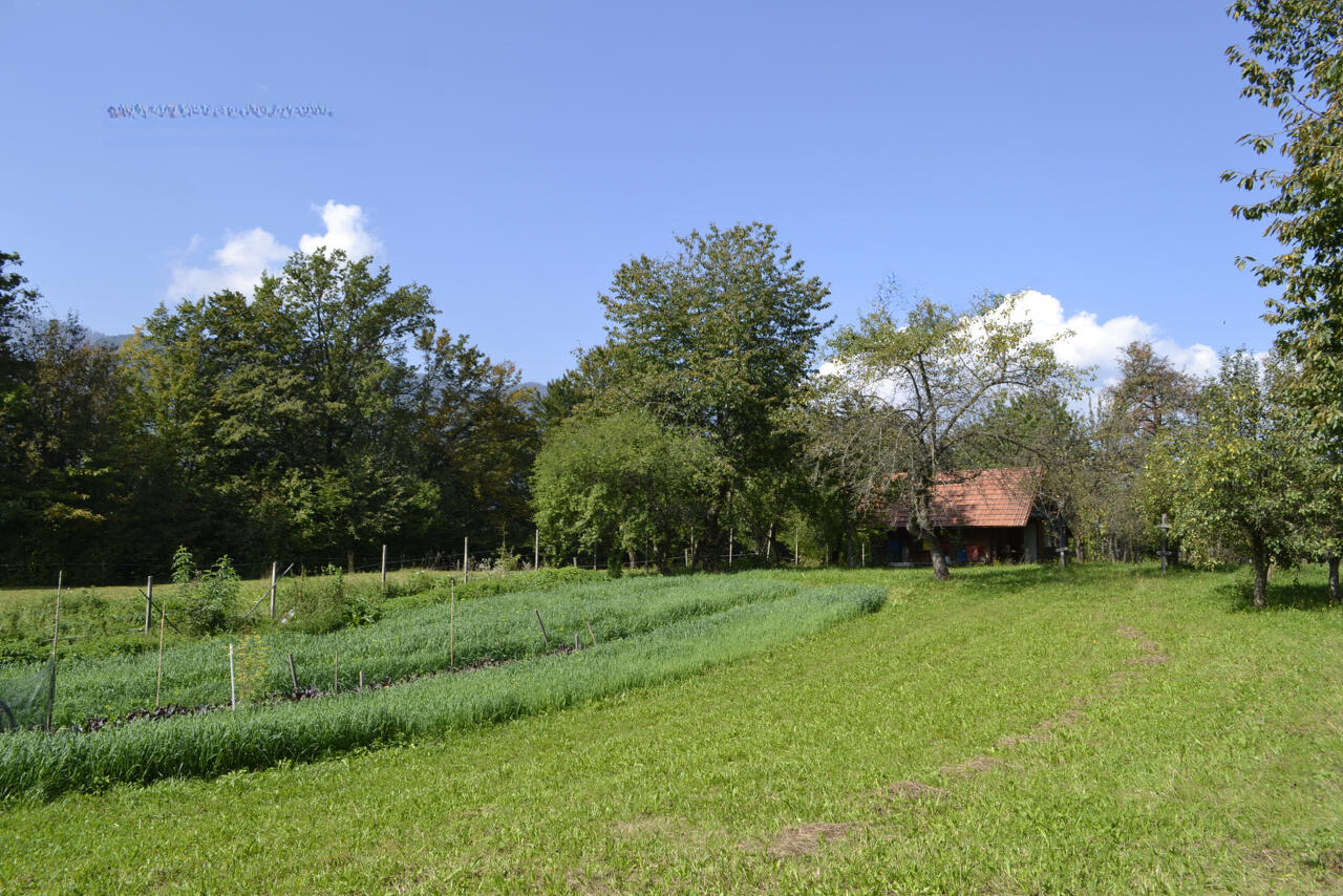 Земля в Брежице, Словения, 87 502 м² - фото 5