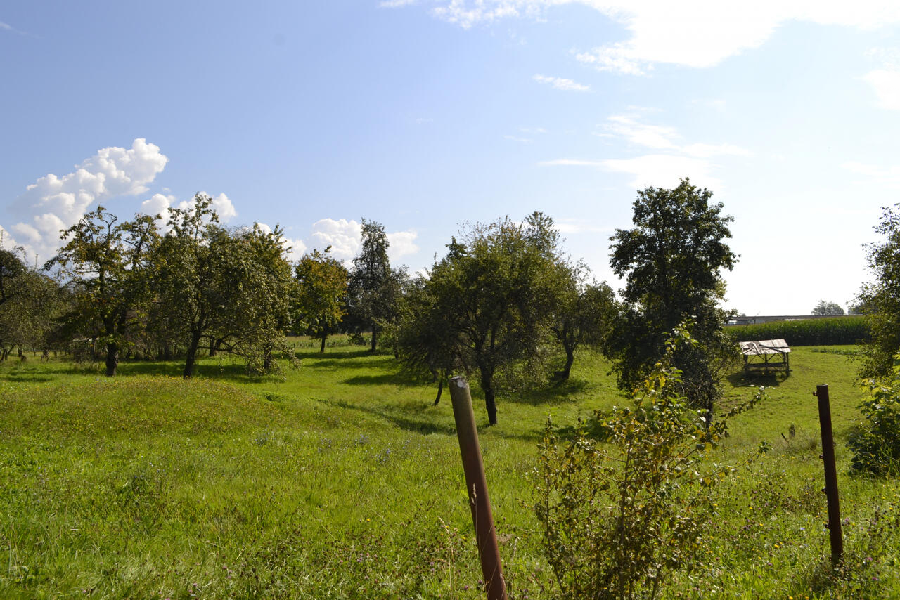 Земля в Брежице, Словения, 87 502 м² - фото 7