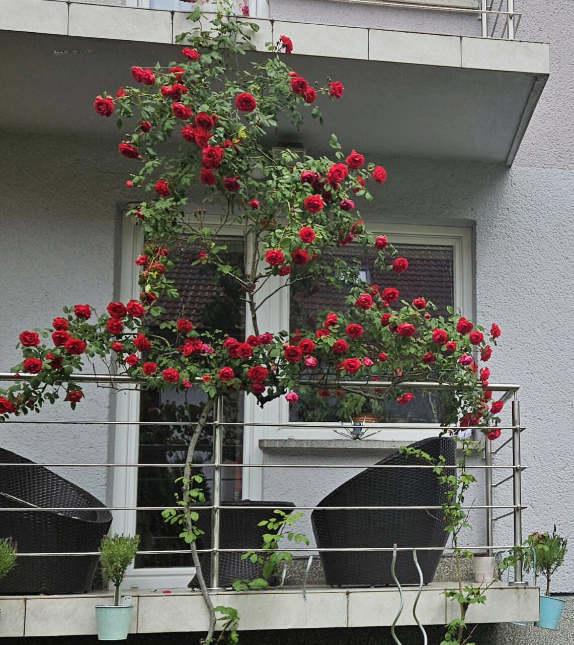 Дом в Любляне, Словения, 180 м² - фото 14