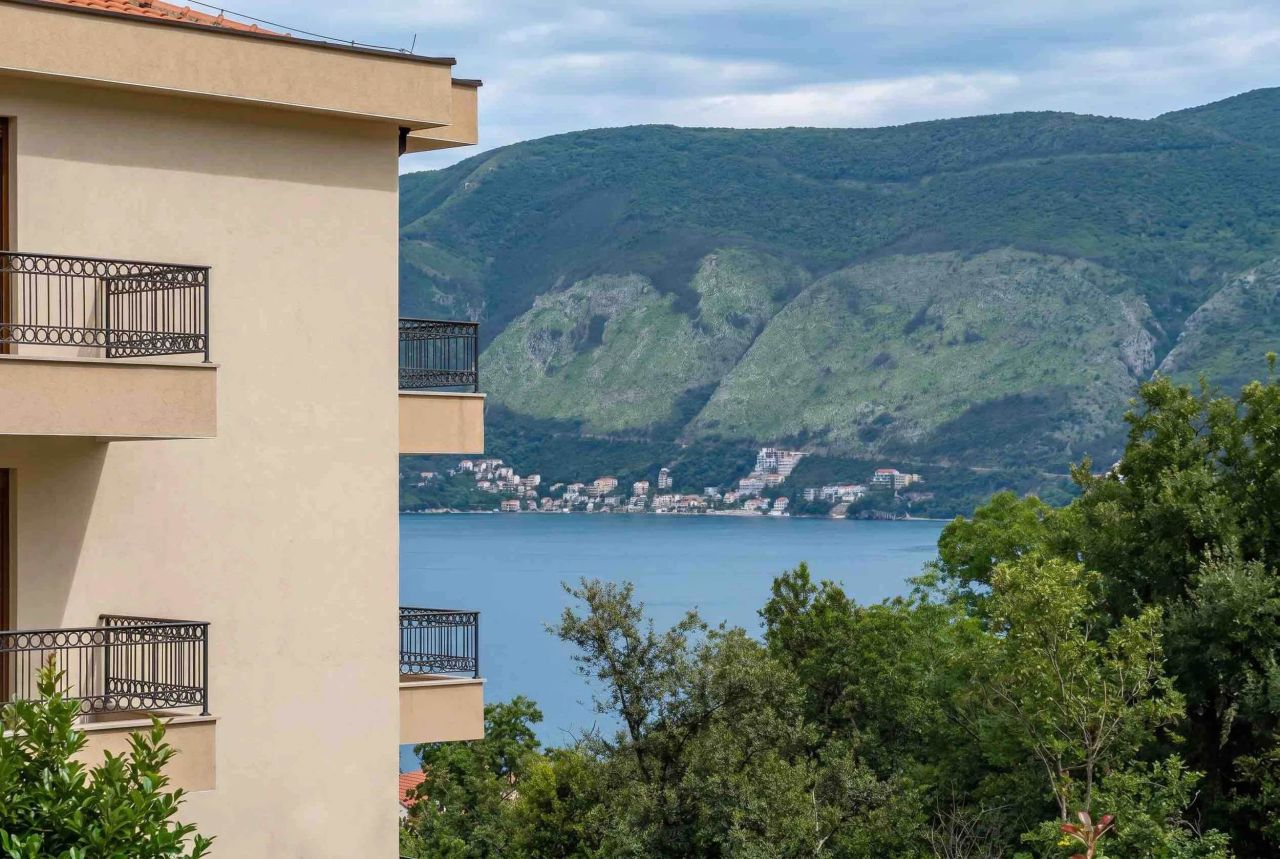Квартира в Херцег-Нови, Черногория, 43 м² - фото 2