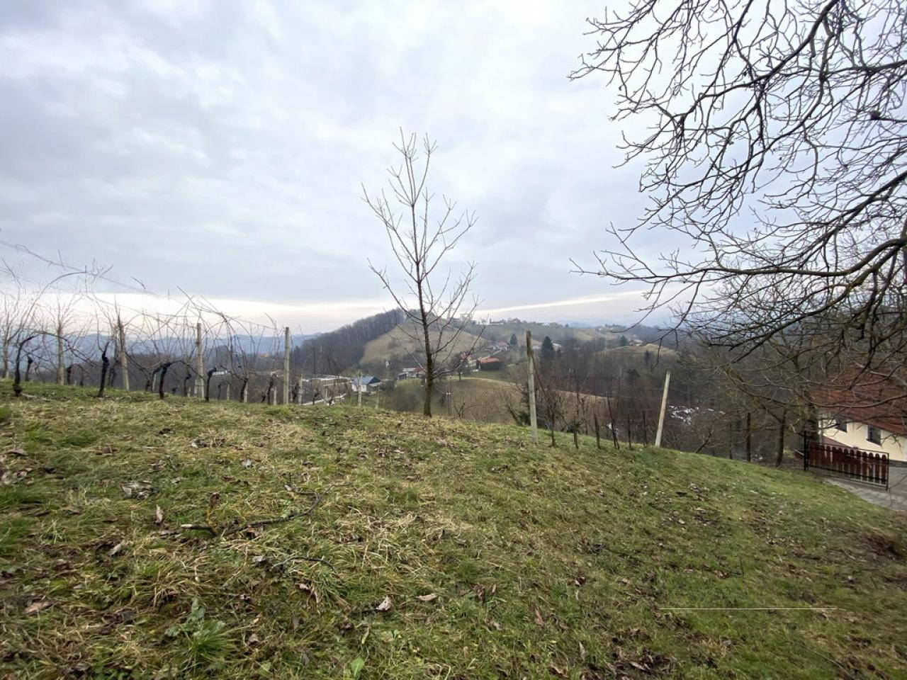 Дом в Птуе, Словения, 50 м² - фото 8