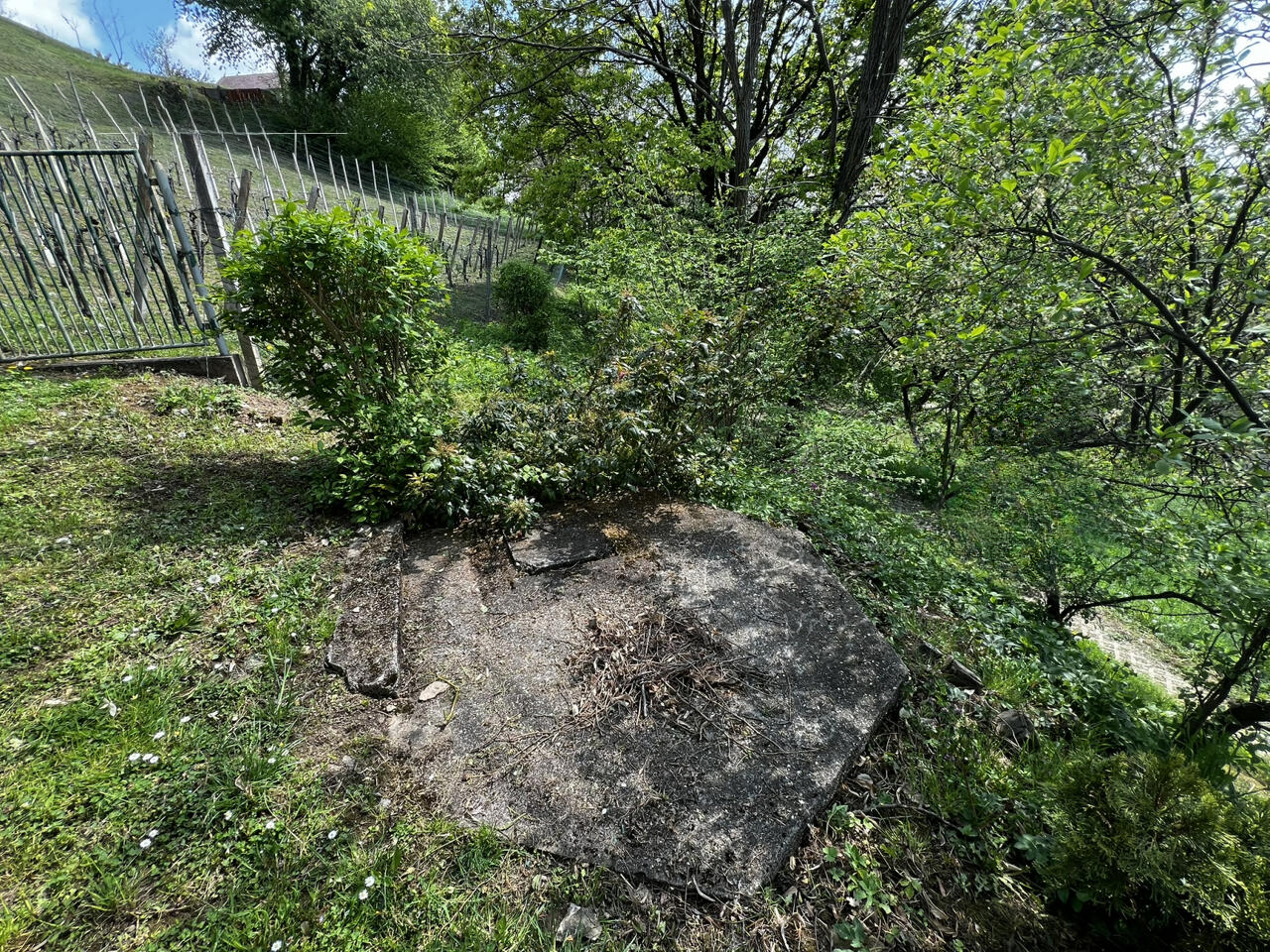 Дом в Брежице, Словения, 107 м² - фото 10