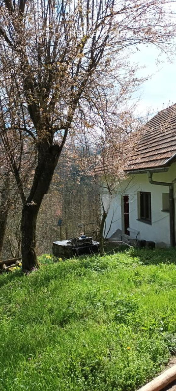Дом в Лашко, Словения, 66 м² - фото 2