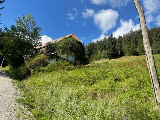 Дом в Словенске-Конице, Словения, 200 м² - фото 3