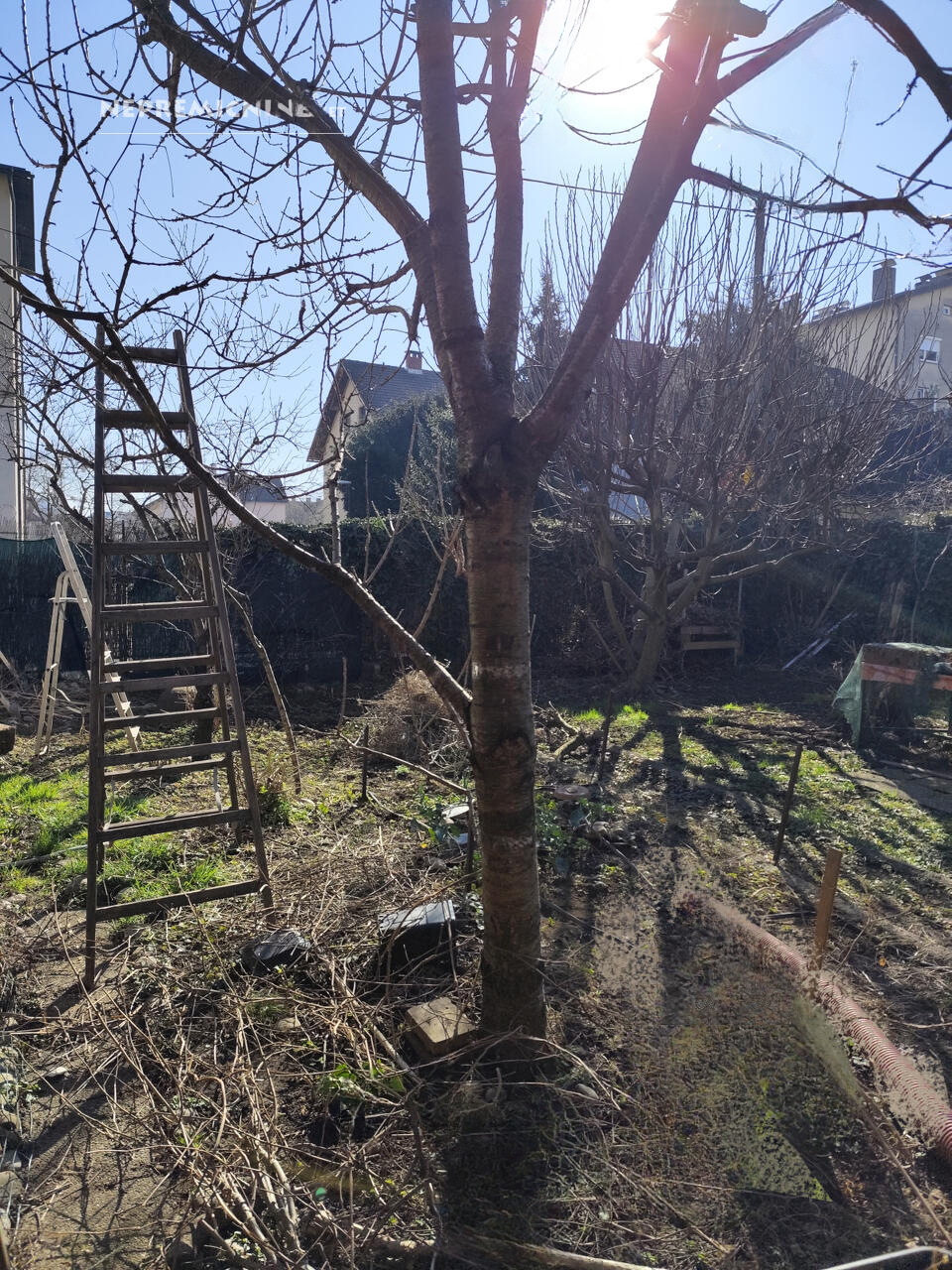 Дом в Любляне, Словения, 258 м² - фото 4