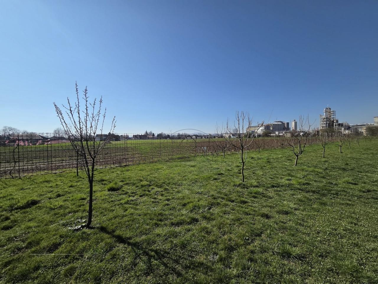 Дом в Любляне, Словения, 253 м² - фото 5