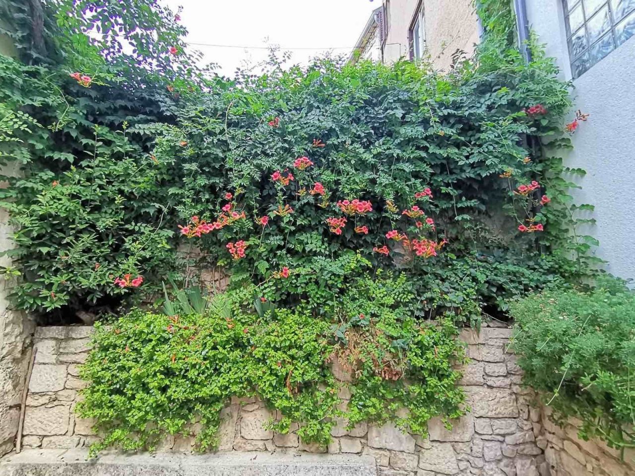 Дом в Медулине, Хорватия, 72 м² - фото 18